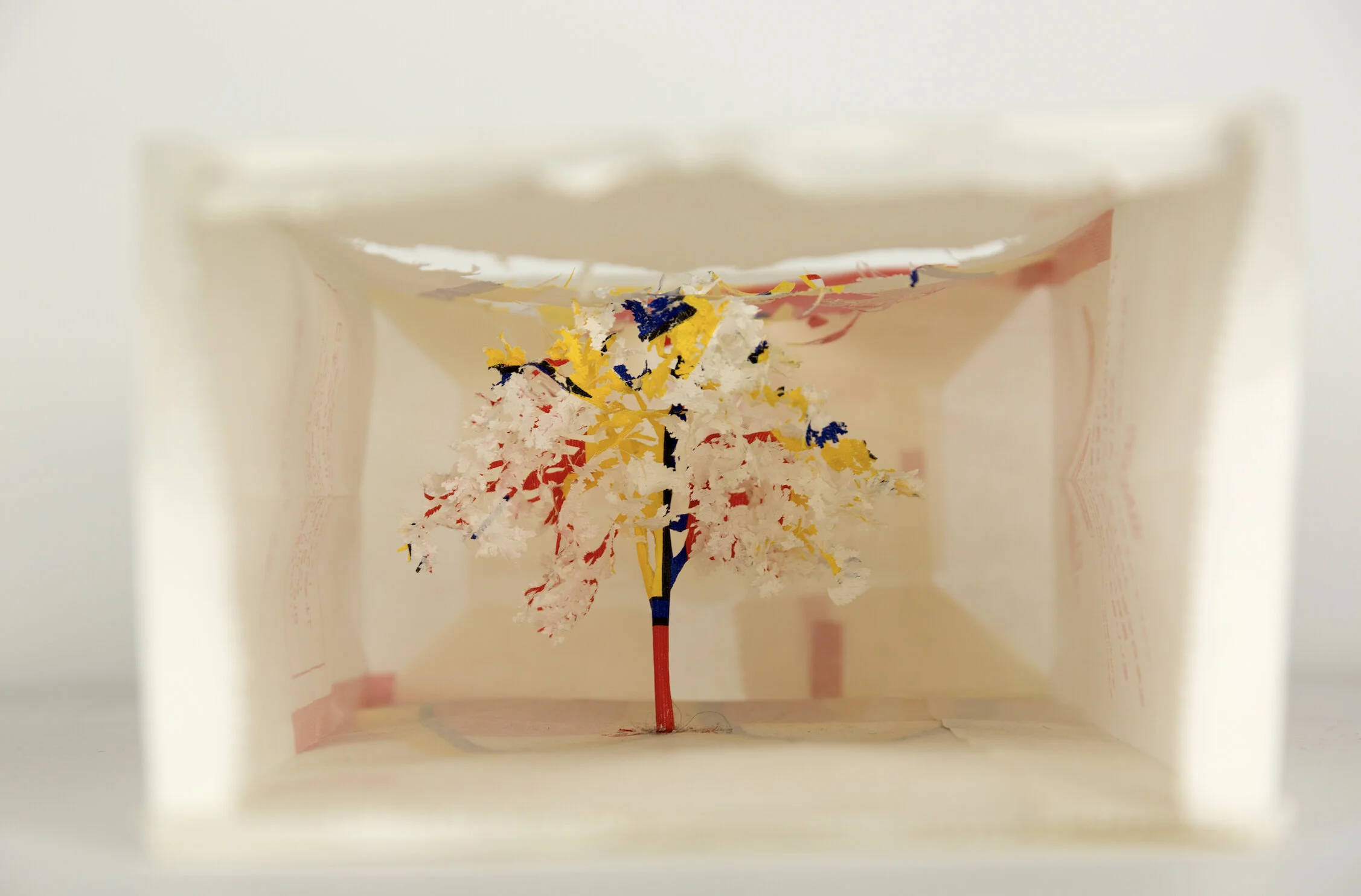 Yuken Teruya — Piero Atchugarry Gallery